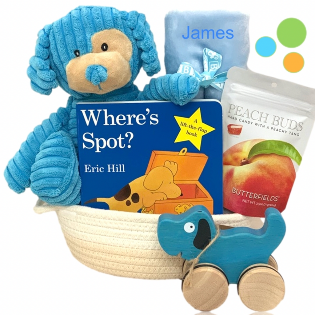 Li'l Boy Blue Dog Gift Basket - Simply Unique Baby Gifts