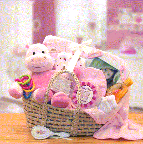 New arrival baby 2024 girl gift basket