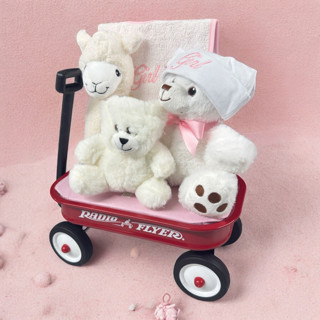 Hello Baby! Wagon - Choose Pink or Blue Theme