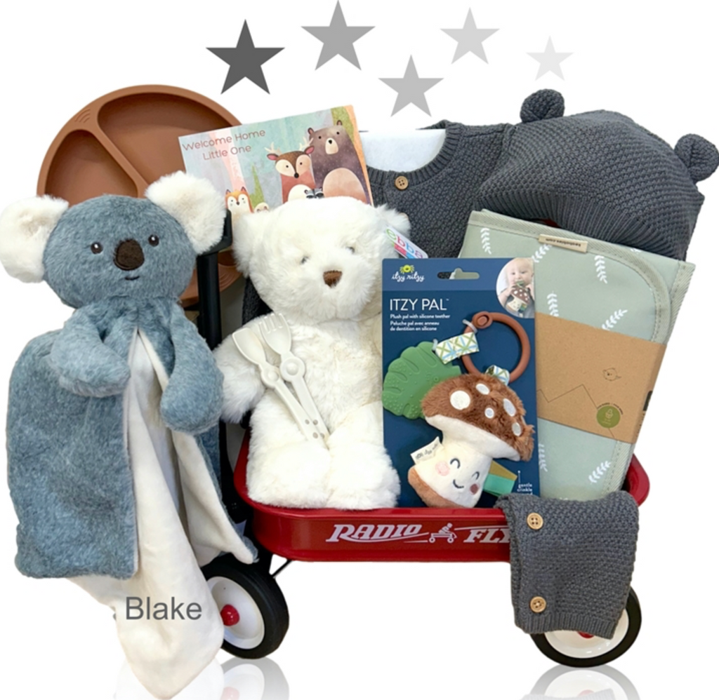 Baby Boy Winter Fun Bear Wagon