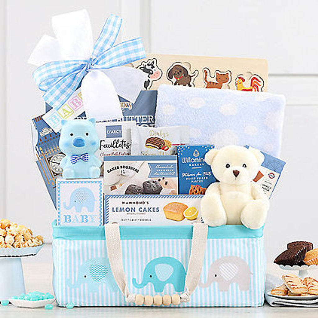 🌟 Welcome Home, Little One! – Baby Boy Gift Basket 🎁💙
