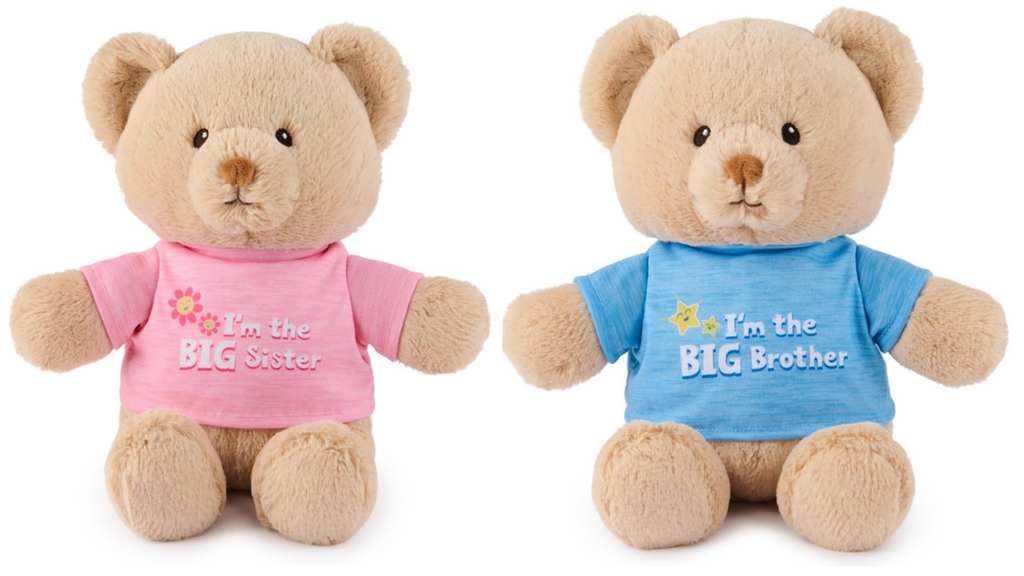 Teddy Bear for Big Sister or Big Brother