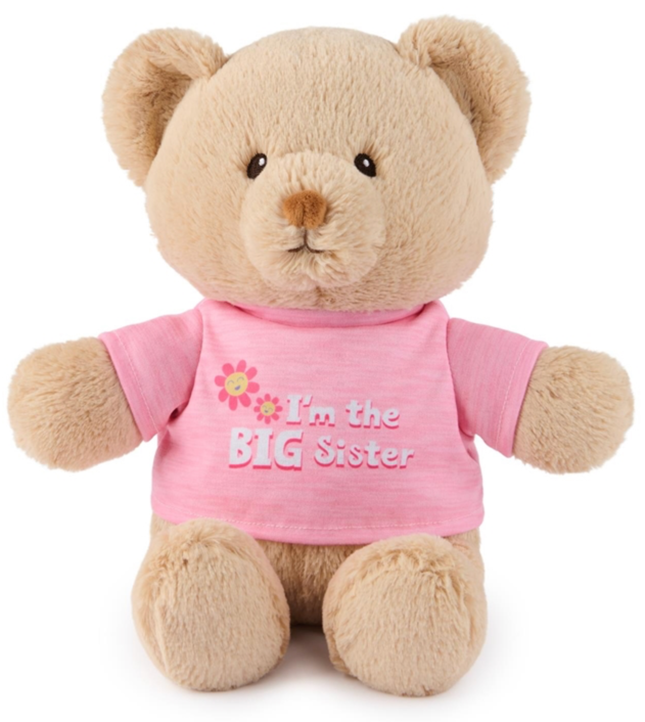 Teddy Bear for Big Sister or Big Brother Simply Unique Baby Gifts