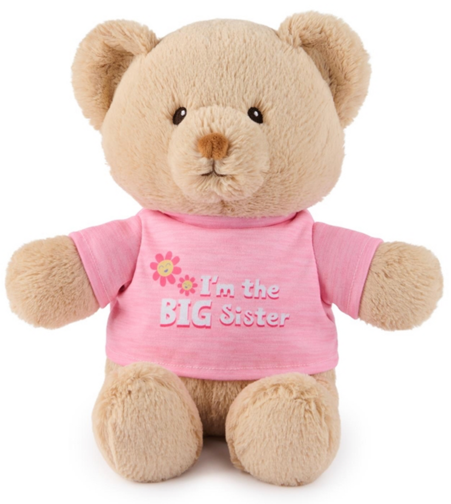 Teddy Bear for Big Sister or Big Brother