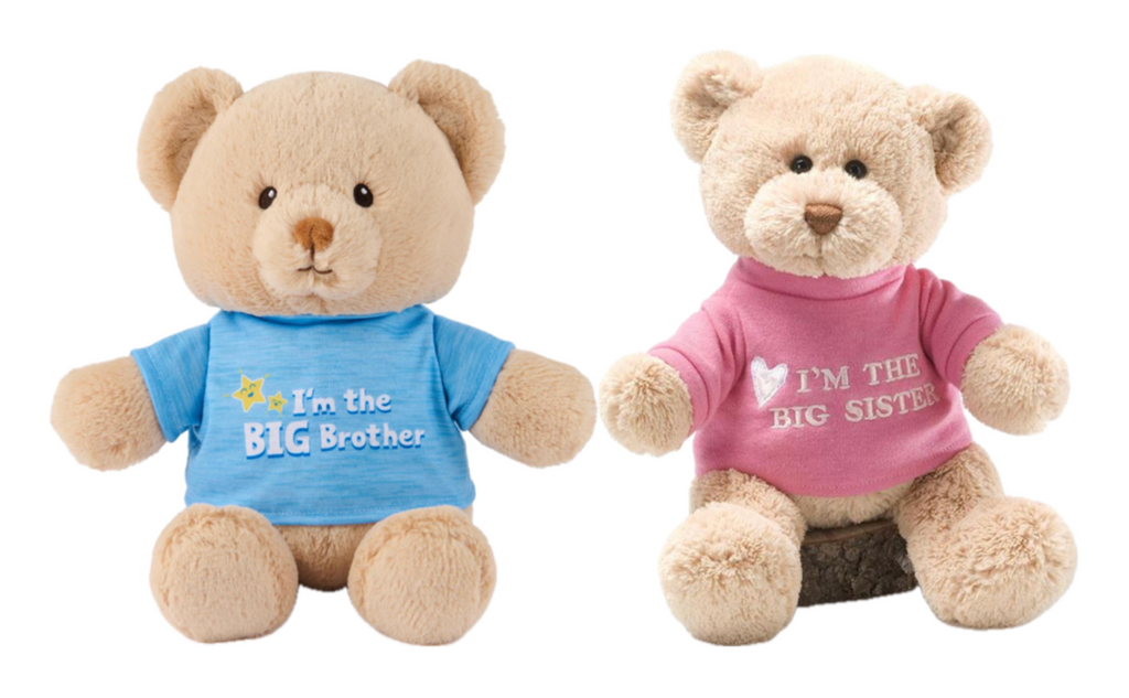 Teddy Bear for Big Sister or Big Brother