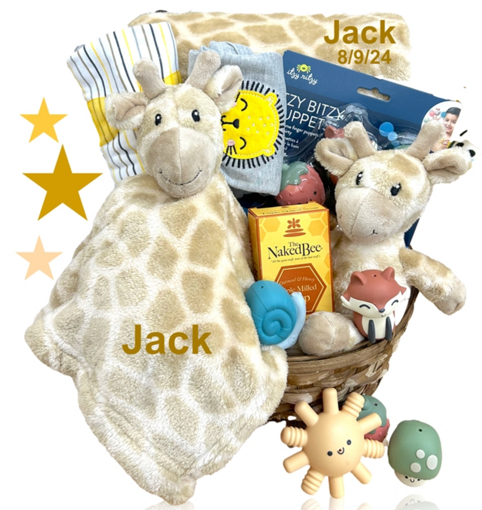 Safari Adventure Baby Gift Basket