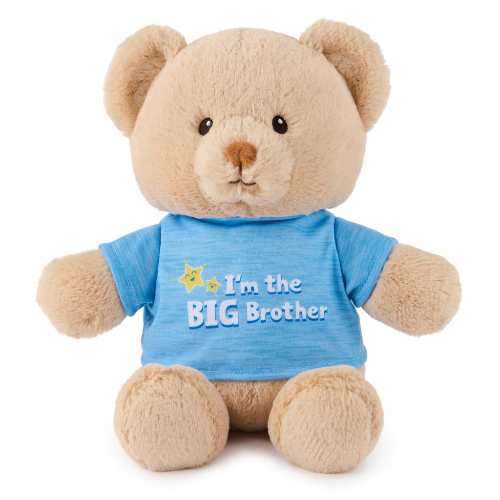 Teddy Bear for Big Sister or Big Brother