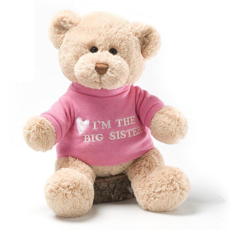 Teddy Bear for Big Sister or Big Brother - Simply Unique Baby Gifts