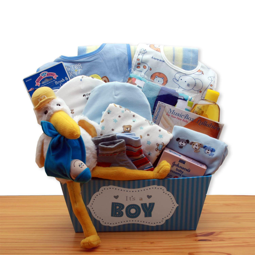 Boy's Stork Delivery - Simply Unique Baby Gifts