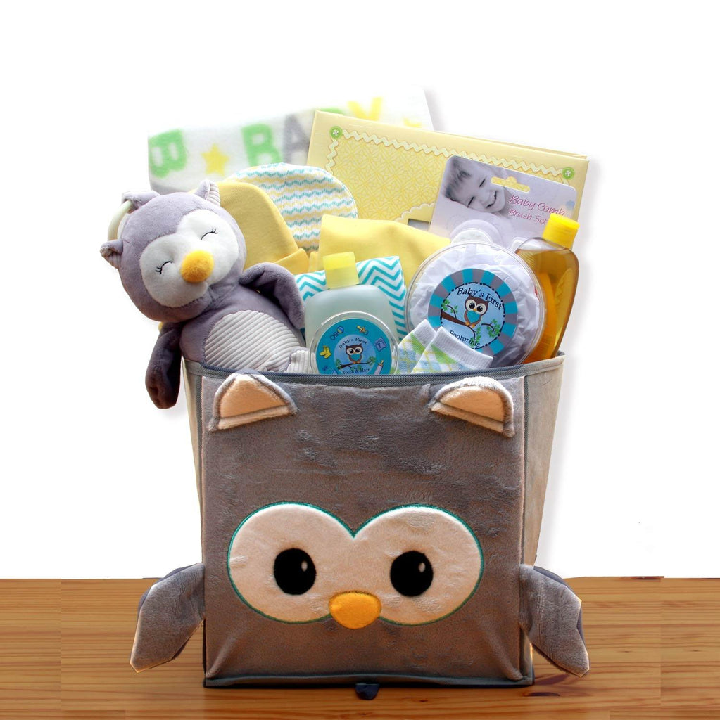 Hoot Owl Gender Neutral Baby Basket - Simply Unique Baby Gifts