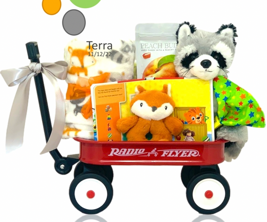 Woodland Friends Wagonload of Gifts - Simply Unique Baby Gifts
