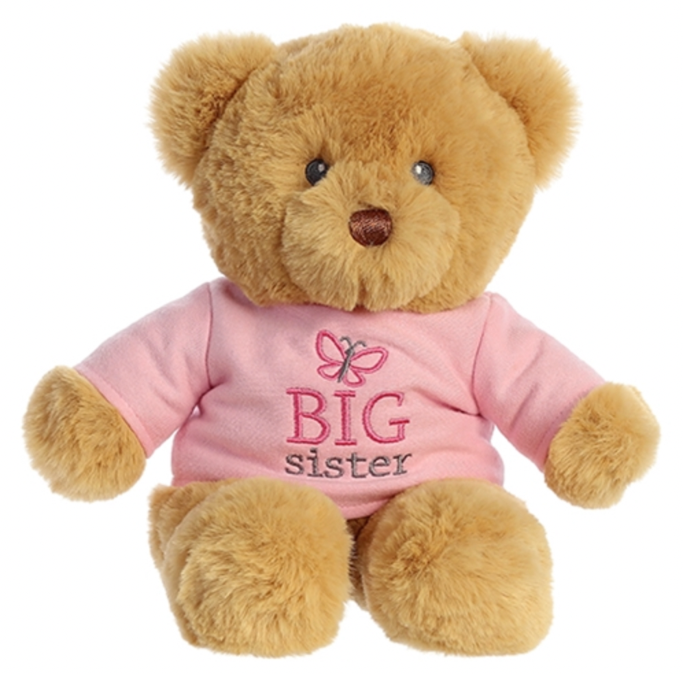 Big sister top teddy bear gift